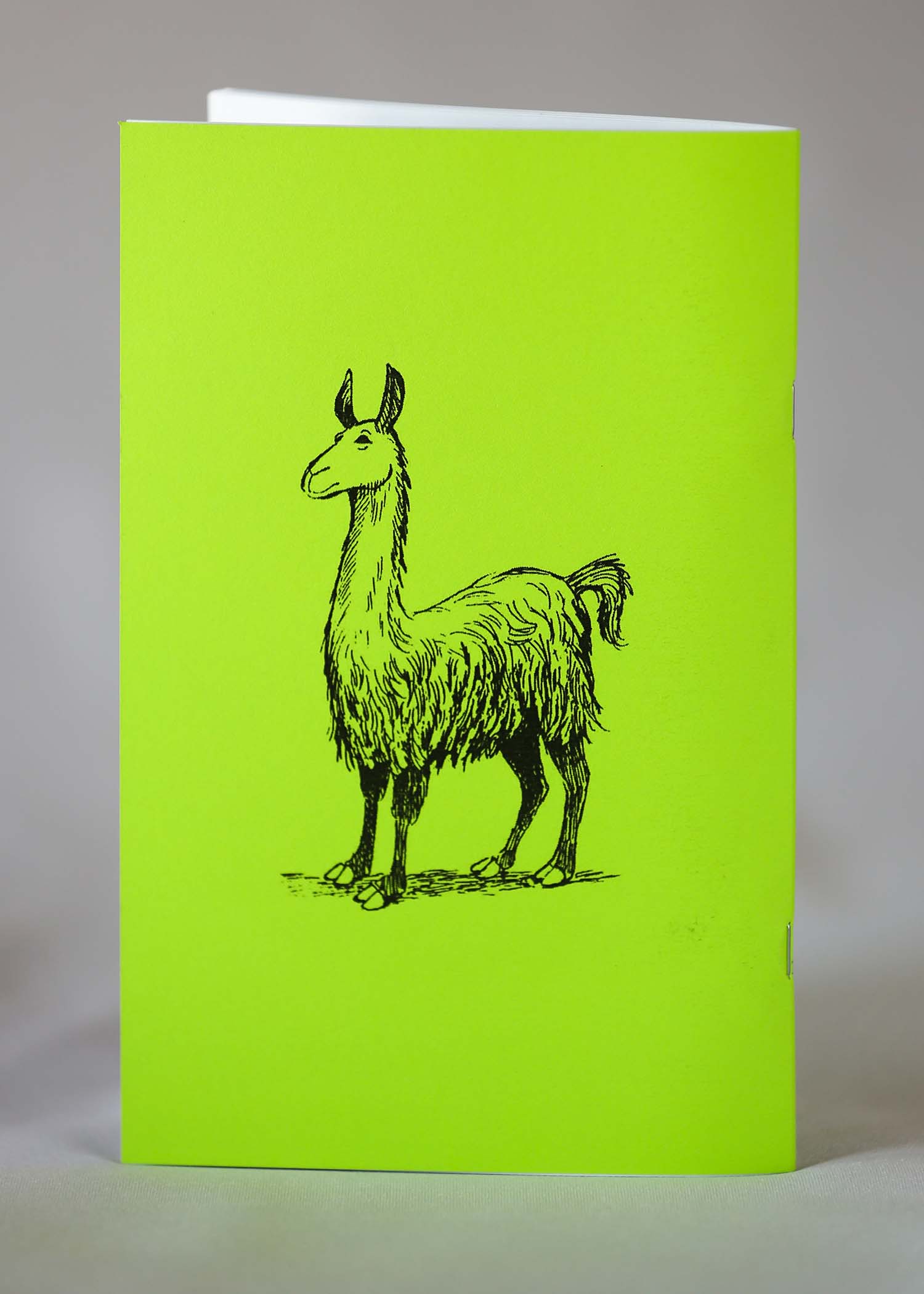 Back cover of the book Cute Animals by Bruce McIntyre
