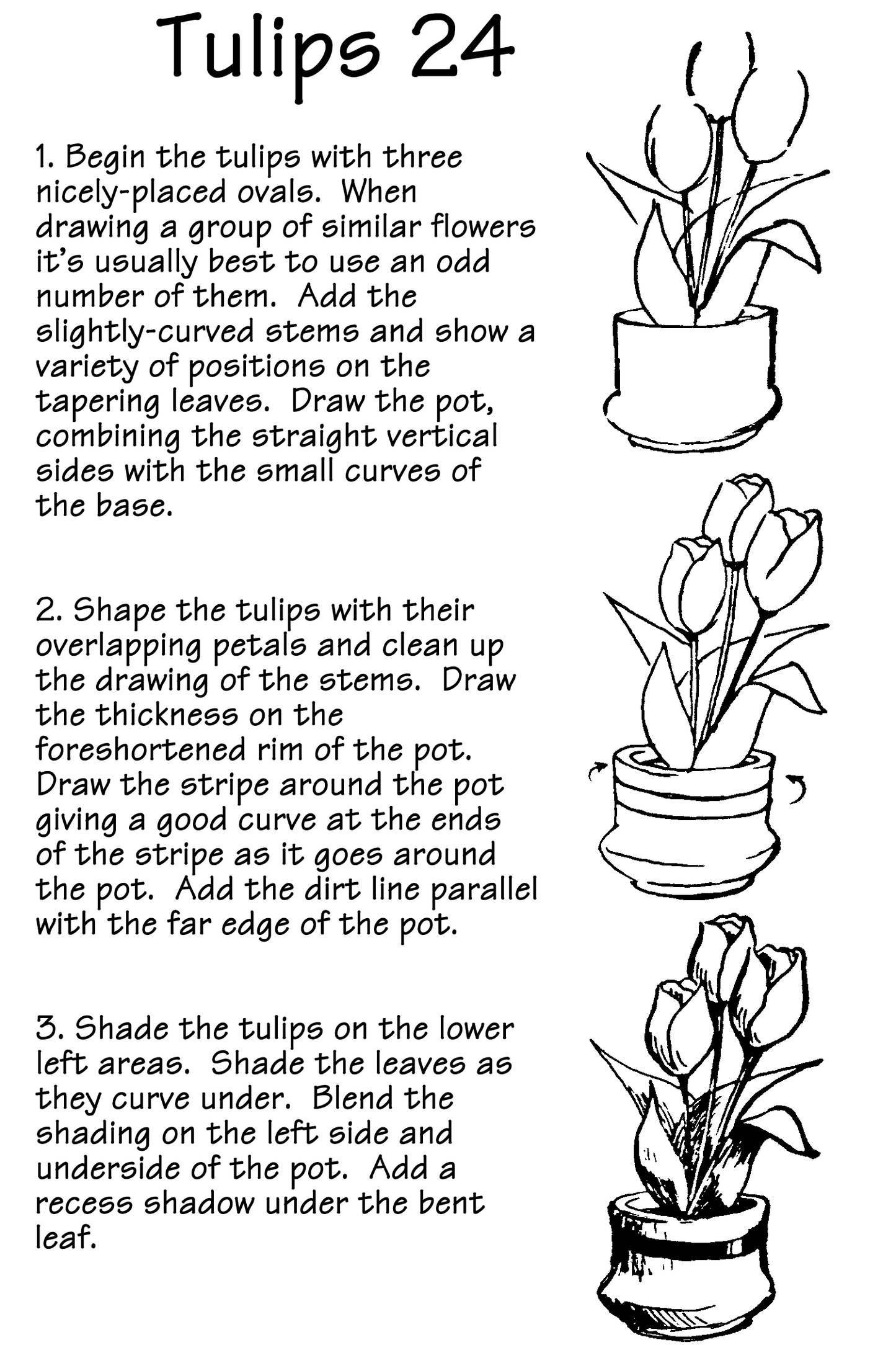 Tulips page from the book Flowers & Trees by Bruce McIntyre