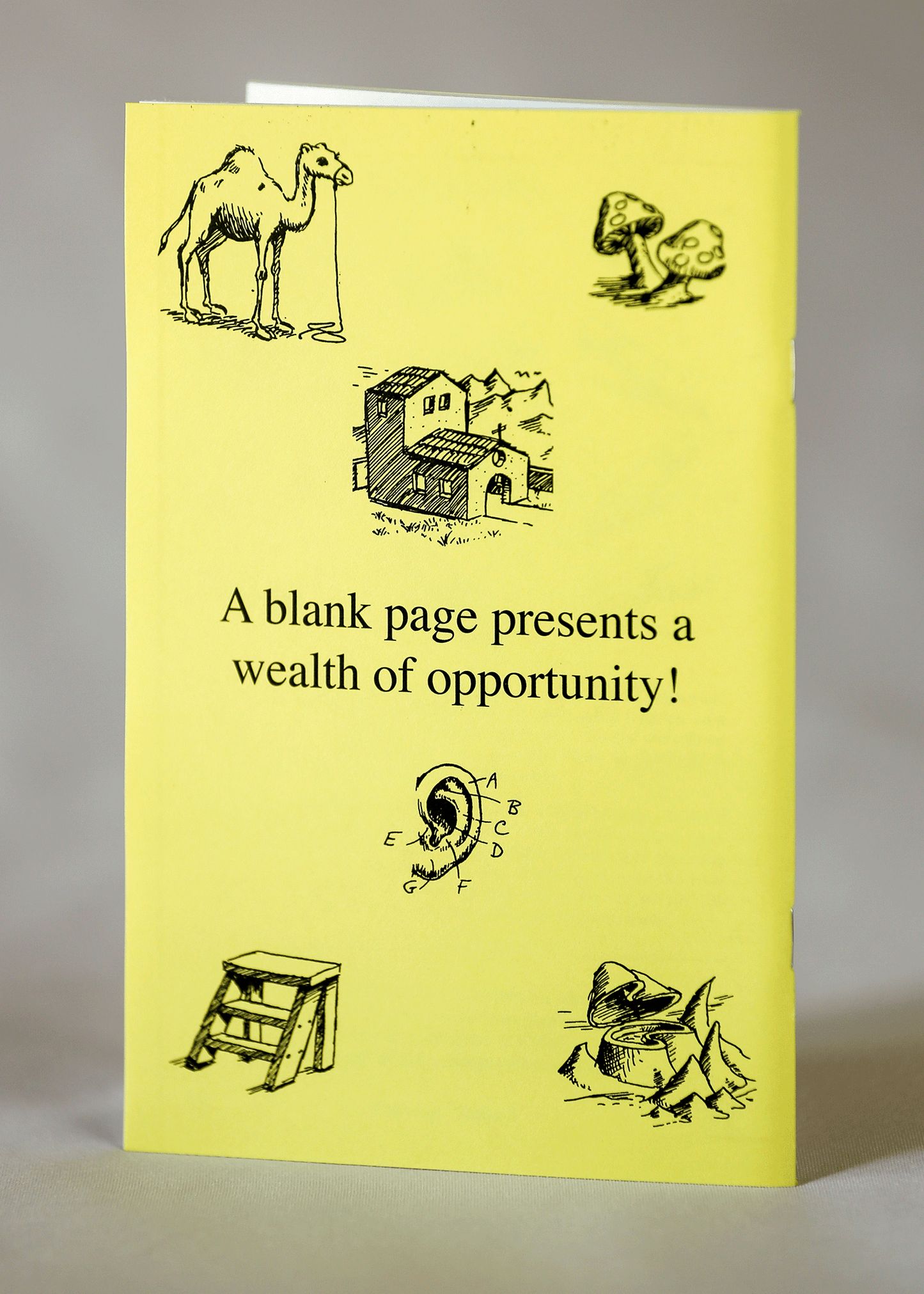Back cover of Drawing Textbook by Bruce McIntyre